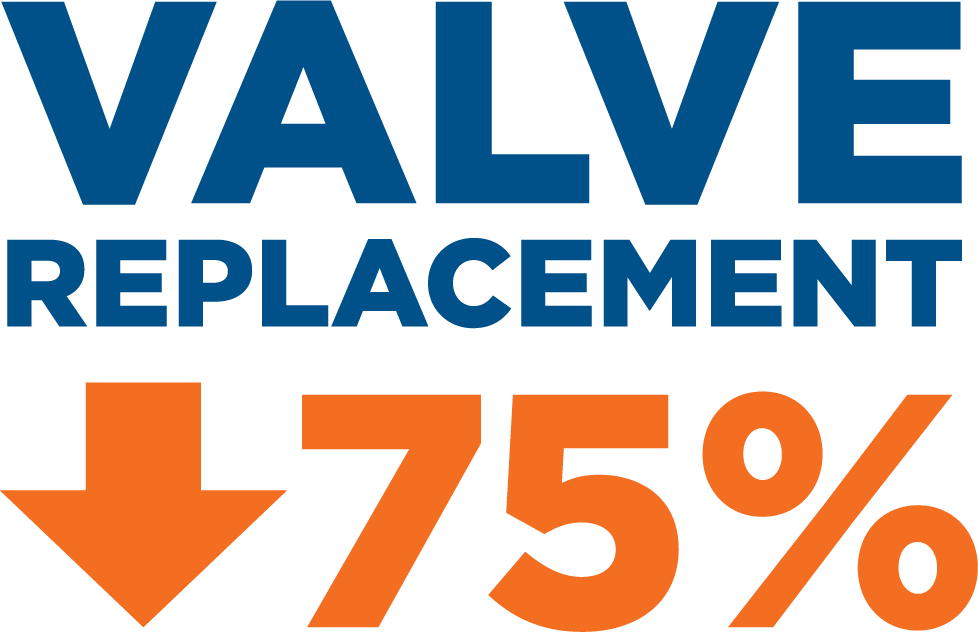 Valve Replace