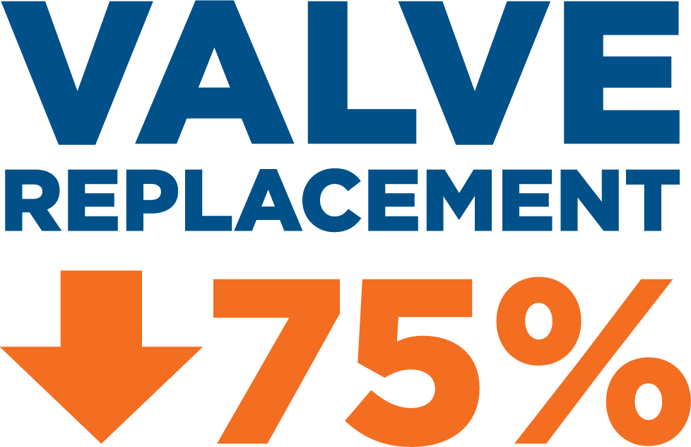 Valve Replace